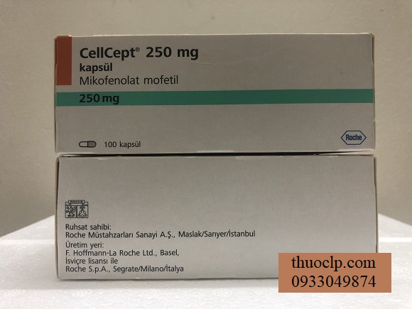 CellCept Medicine 250mg Mycophenolate mofetil Pregnancy supplement (3)